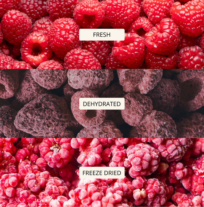 Images of three different berries.